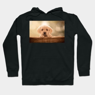 Labrador Retriever Puppy Digital Painting Hoodie